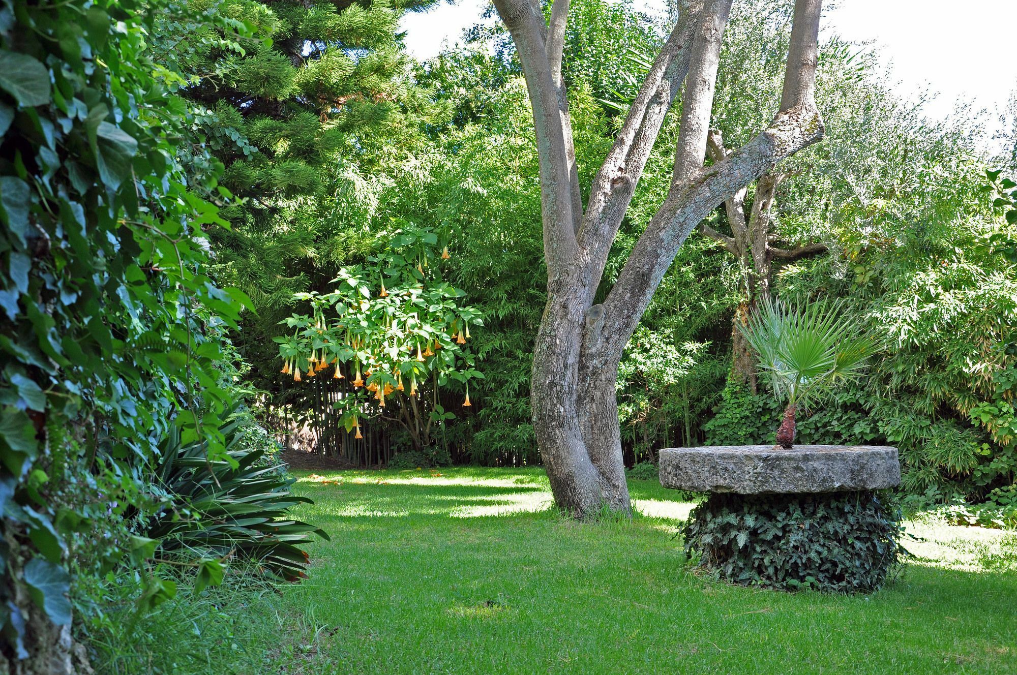 Villa Domenicale Ágios Márkos Εξωτερικό φωτογραφία
